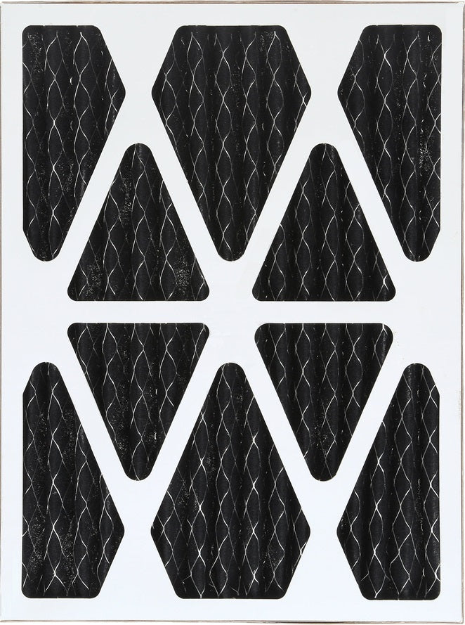 AMP-DM900-0855 Préfiltre plissé en carbone