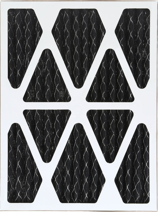 AMP-DM900-0855 Préfiltre plissé en carbone